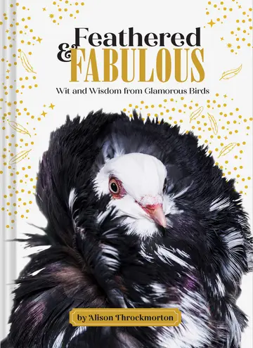Cover of Feathered & Fabulous