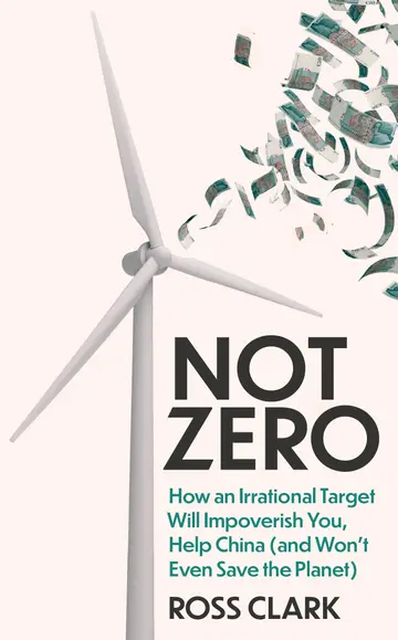 Cover of Not Zero