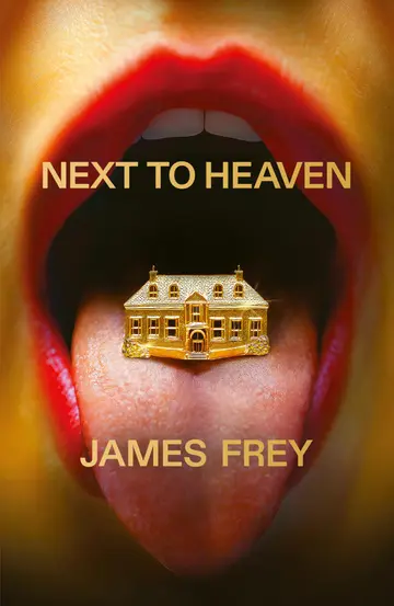 Cover of Next to Heaven