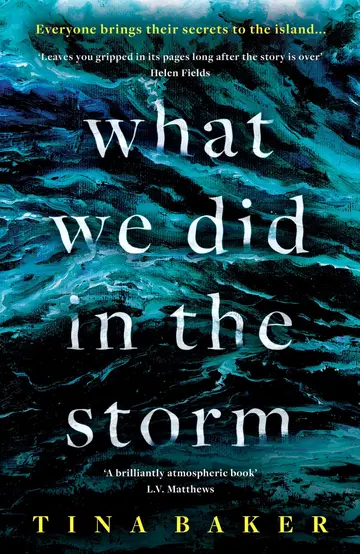Cover of What We Did in the Storm