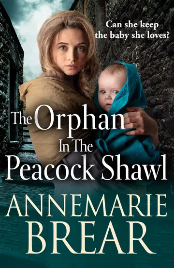 Cover of The Orphan in the Peacock Shawl