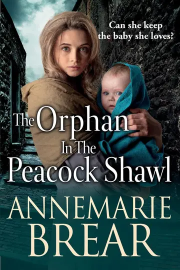 Cover of The Orphan in the Peacock Shawl