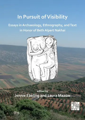 Cover of In Pursuit of Visibility