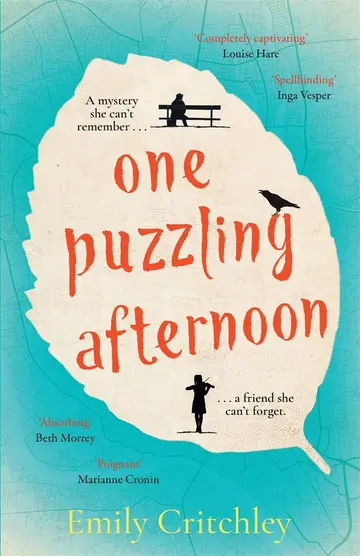 Cover of One Puzzling Afternoon