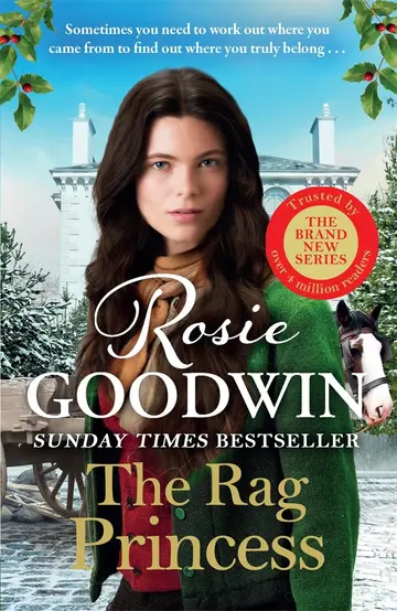 Cover of The Rag Princess