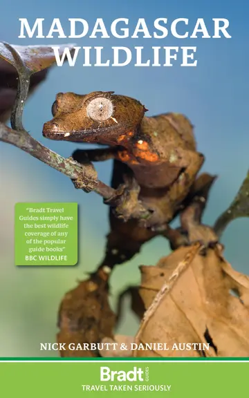 Cover of Madagascar Wildlife (Bradt Travel Guides (Wildlife Guides))