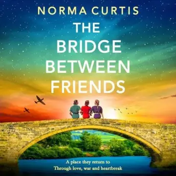 Cover of The Bridge Between Friends