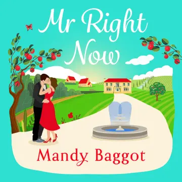 Cover of Mr Right Now