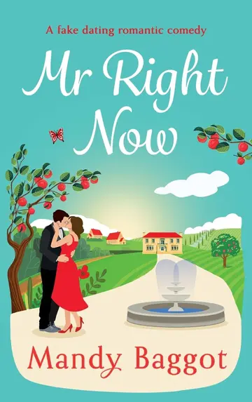 Cover of Mr Right Now