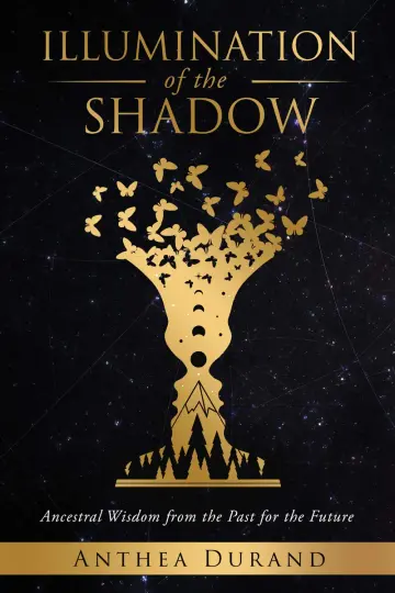 Cover of Illumination of the Shadow