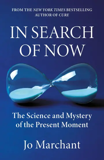 Cover of In Search of Now