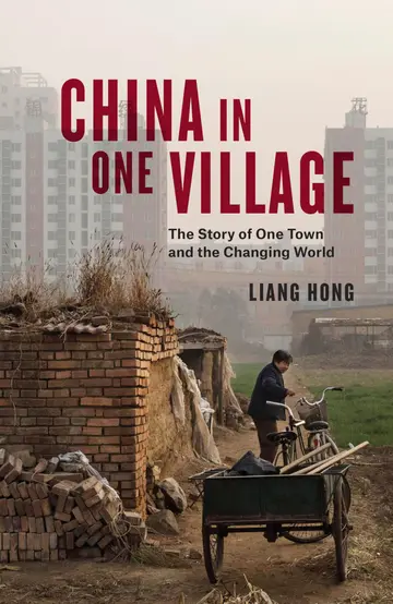Cover of China in One Village