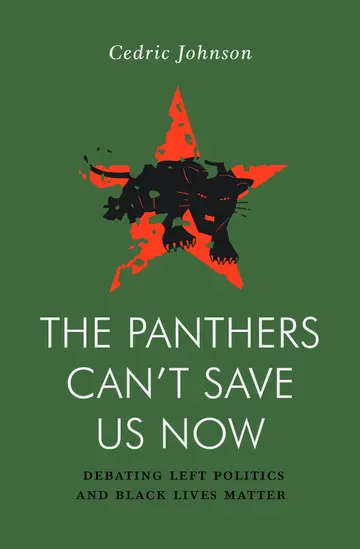 Cover of The Panthers Can't Save Us Now