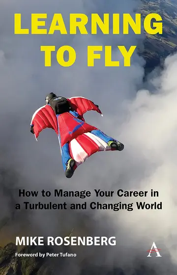 Cover of Learning to Fly