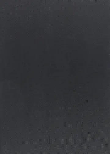 Cover of The Establishment of European Works Councils