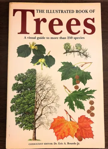 Cover of Illustrated Book of Trees