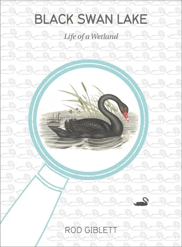 Cover of Black Swan Lake