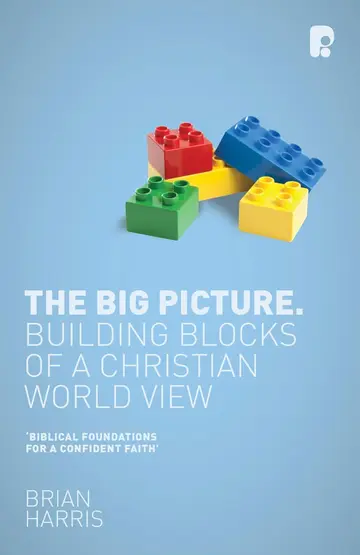 Cover of The Big Picture