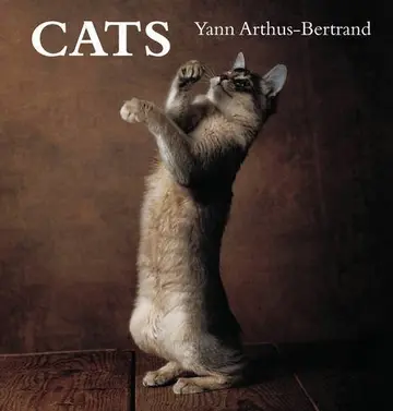 Cover of Cats