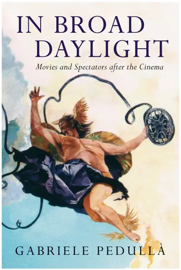 Cover of In Broad Daylight
