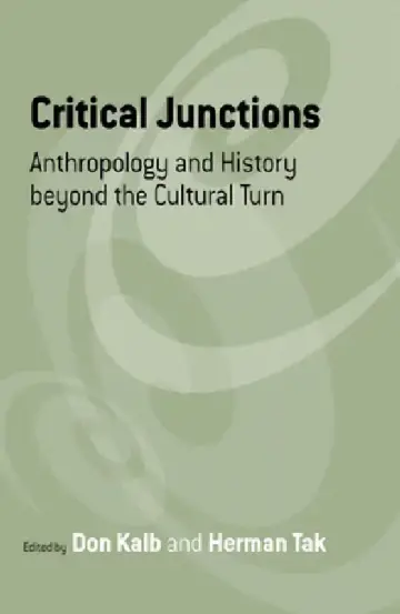 Cover of Critical Junctions