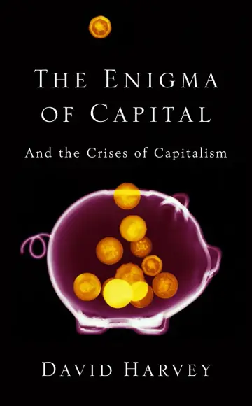 Cover of The Enigma of Capital