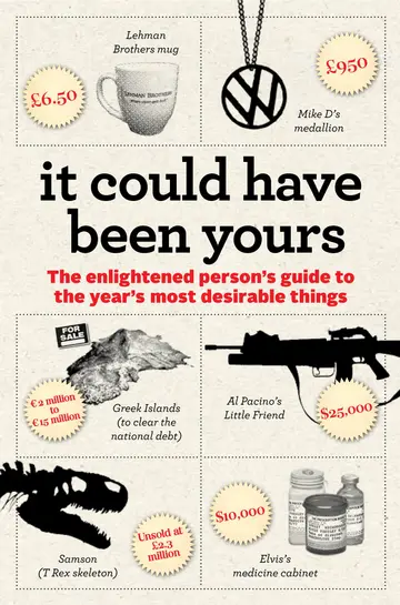 Cover of It Could Have Been Yours