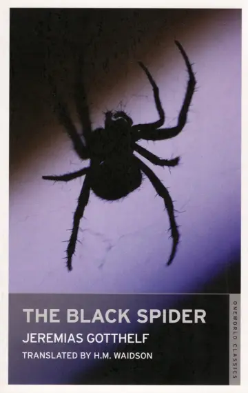 Cover of The Black Spider