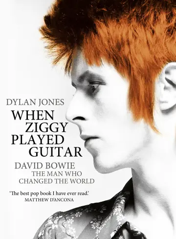 Cover of When Ziggy Played Guitar