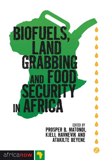Cover of Biofuels, Land Grabbing and Food Security in Africa
