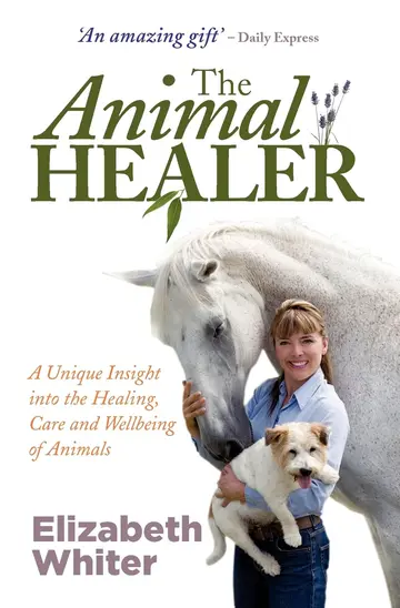 Cover of The Animal Healer