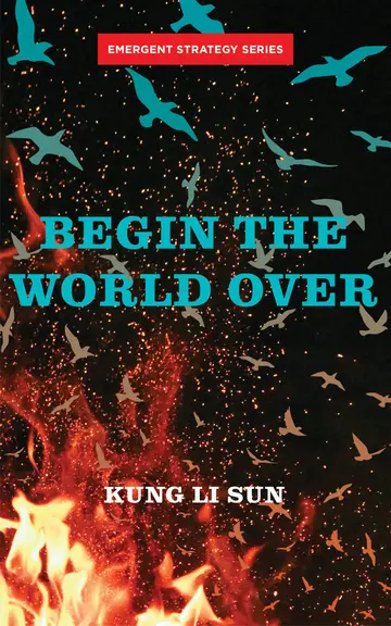 Cover of Begin the World Over