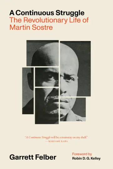 Cover of A Continuous Struggle