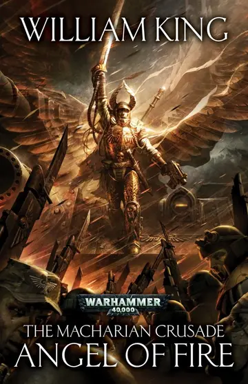Cover of The Angel of Fire