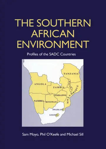 Cover of The Southern African Environment
