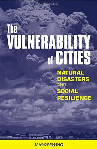 Cover of The Vulnerability of Cities