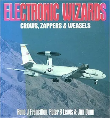 Cover of Electronic Wizards
