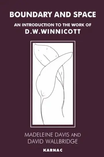 Cover of Boundary and Space