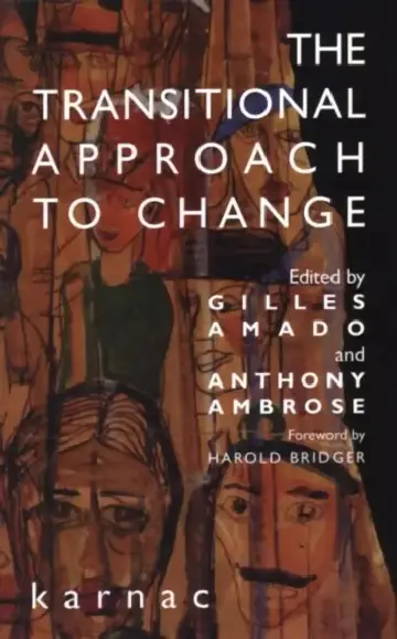 Cover of The Transitional Approach to Change