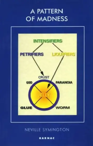 Cover of A Pattern of Madness