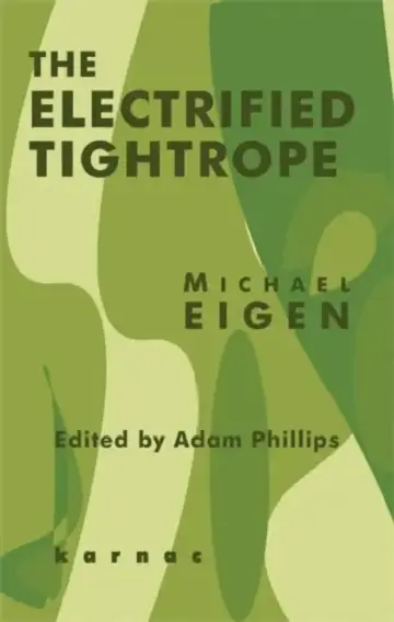 Cover of The Electrified Tightrope