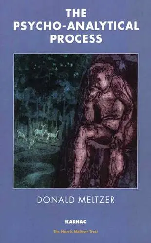 Cover of The Psycho-Analytical Process