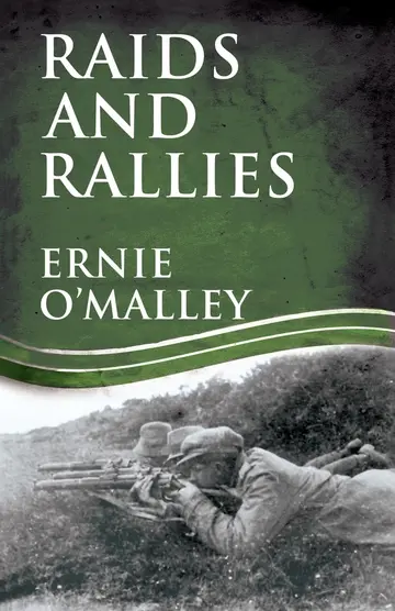 Cover of Raids and Rallies