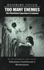 Cover of Too Many Enemies