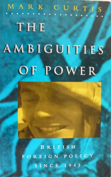 Cover of The Ambiguities of Power