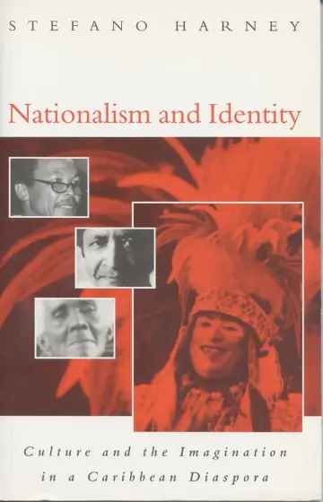 Cover of Nationalism and Identity