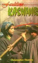 Cover of Faultline Kashmir