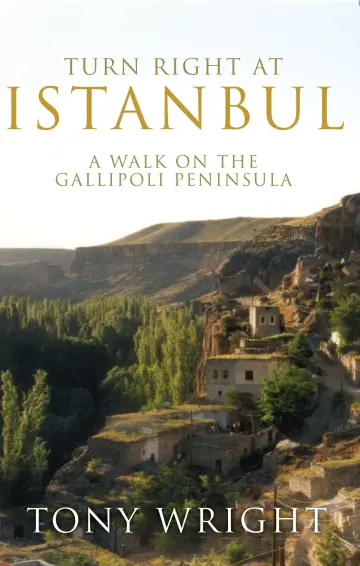 Cover of Turn Right at Istanbul
