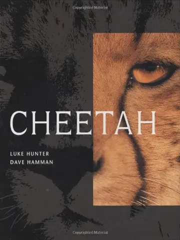 Cover of Cheetah