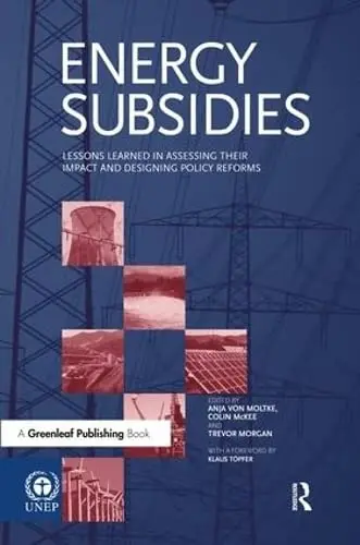 Cover of Energy Subsidies